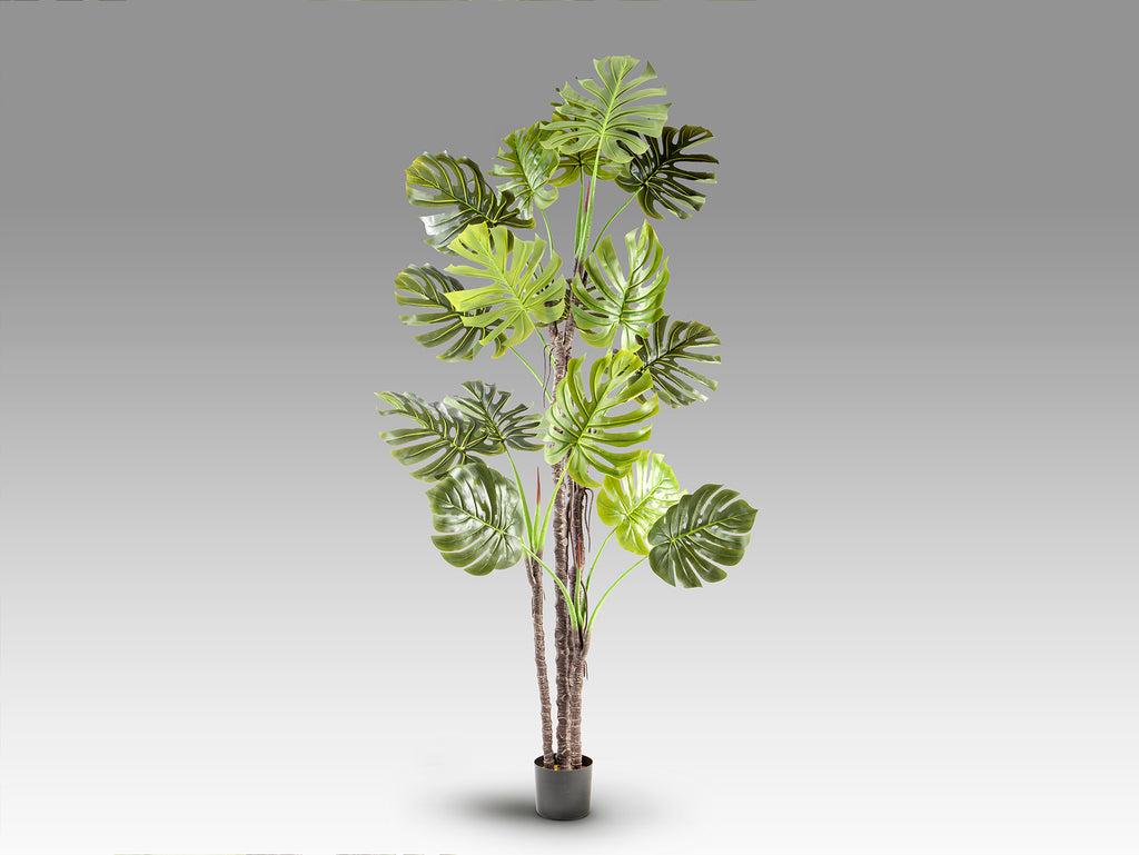 Изкуствена монстера Monstera в саксия – изглед 4