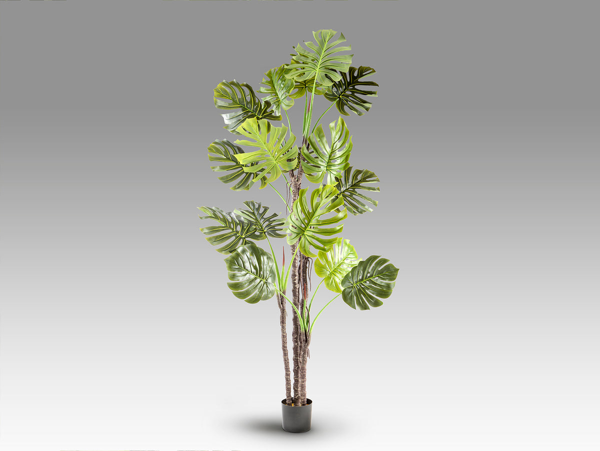 Изкуствена монстера Monstera в саксия – изглед 4
