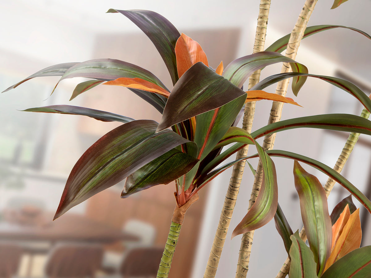 Изкуствена червена драцена Dracena Roja в саксия – изглед 2