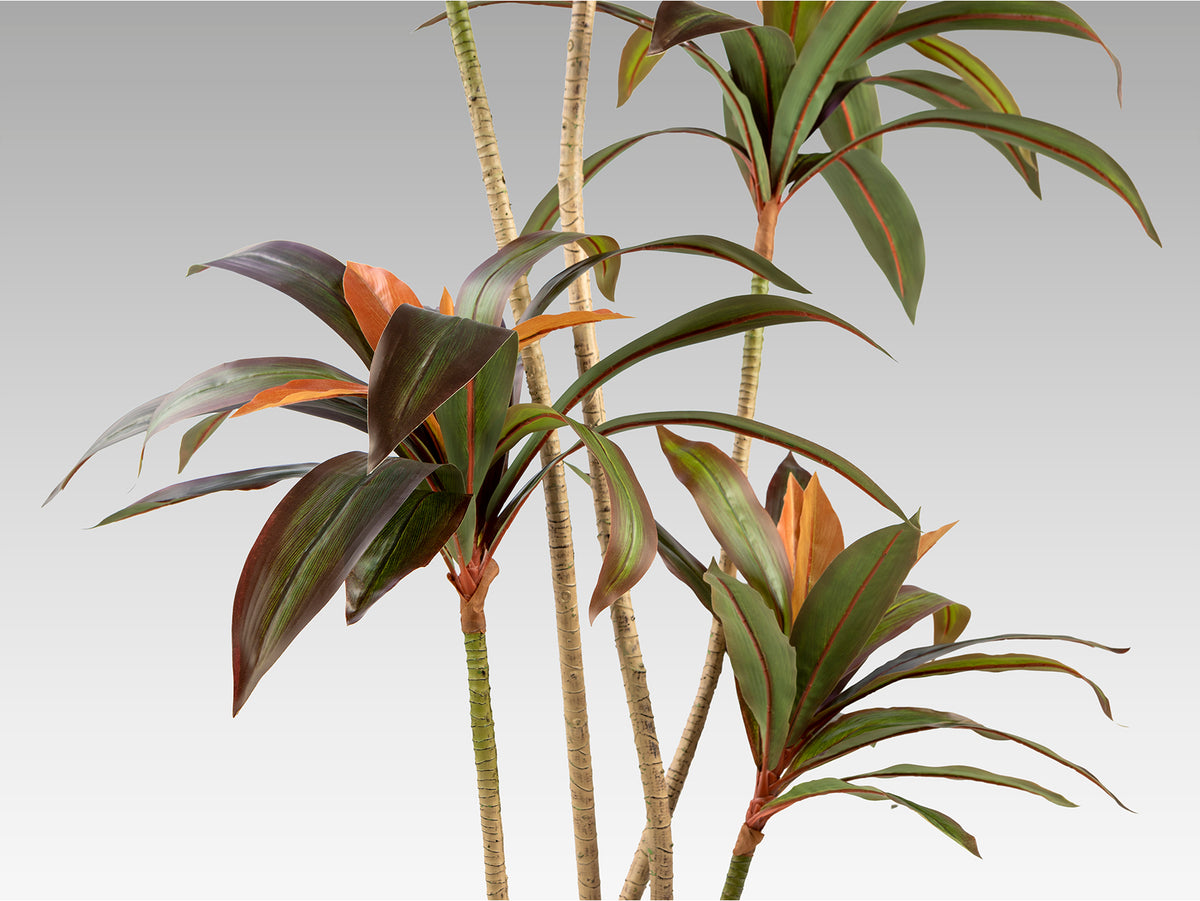 Изкуствена червена драцена Dracena Roja в саксия – изглед 3