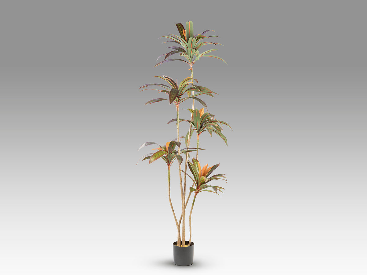 Изкуствена червена драцена Dracena Roja в саксия – изглед 4