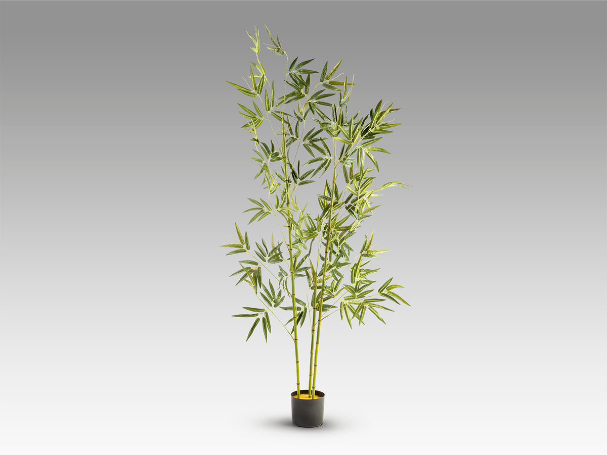Изкуствен бамбук Bambu в саксия – изглед 3