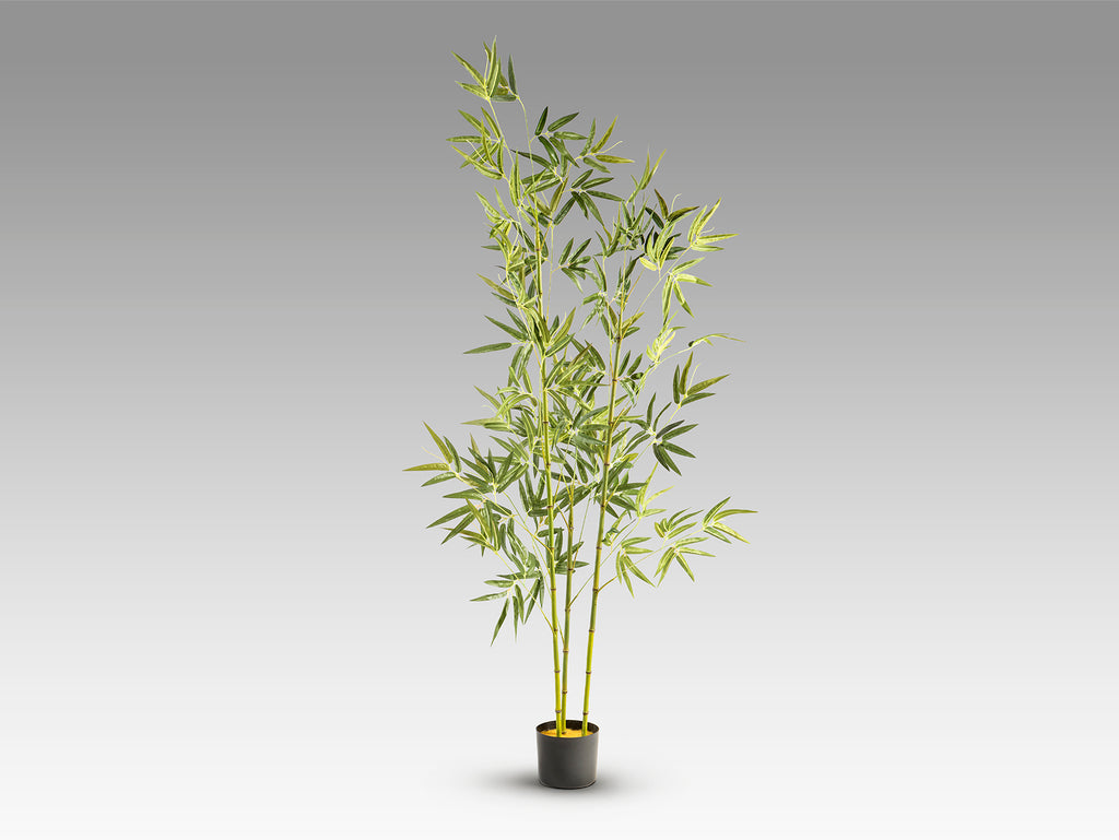Изкуствен бамбук Bambu в саксия – изглед 4